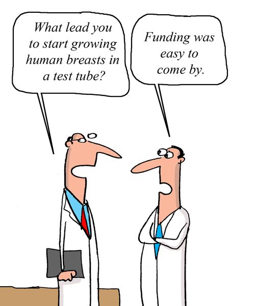 "What lead you to growing human tests in a test tube?"