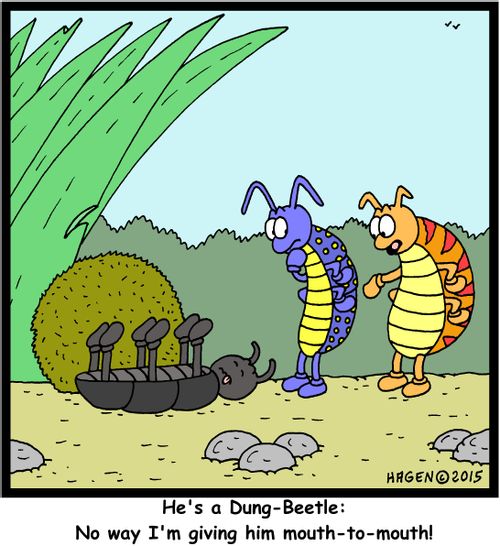 "He's a Dung-Beetle: No way I'm giving him mouth-to-mouth!"