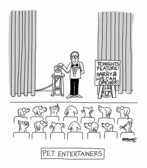 Pet Entertainers