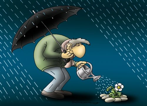 Watering the flowers