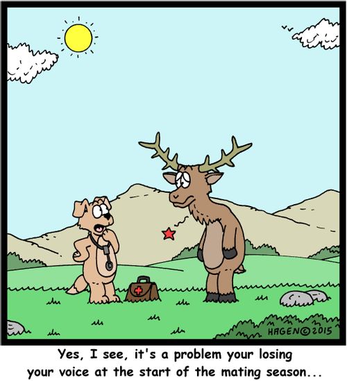 "Yes, I see, it's a problem your losing your voice at the start of the mating season..."