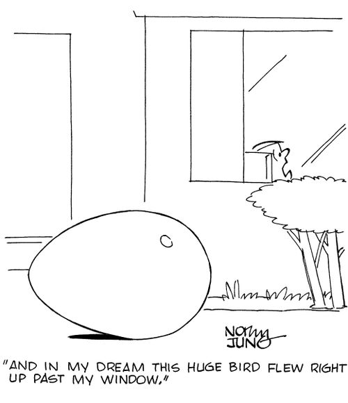 "And in my dream this huge bird flew right up past my window."