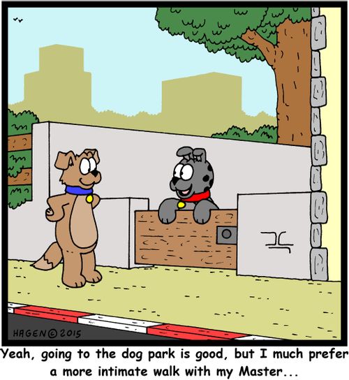 "Yeah, going to the dog park is good, but I must prefer a more intimate walk with my Master..."