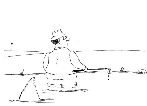 Man golfing in water hazard with shark.
