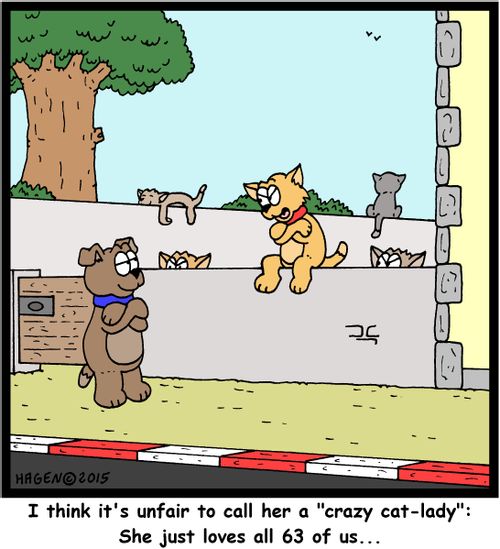 "I think it's unfair to call her a "crazy cat-lady": She just loves all 63 of us..."