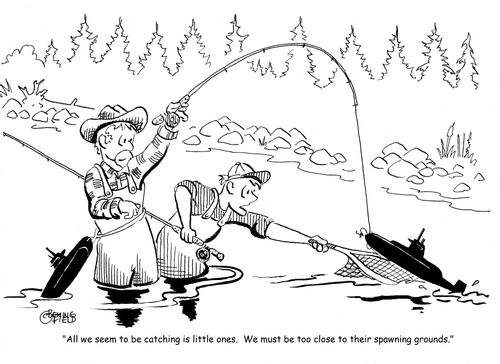 "All we seem to be catching is little ones.  We must be too close to their spawning grounds."