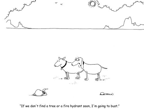 "If we don't find a tree or fire hydrant soon, I'm going to bust."