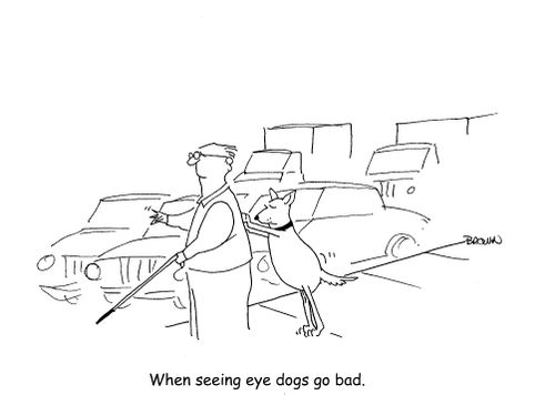 When seeing eye dogs go bad.
