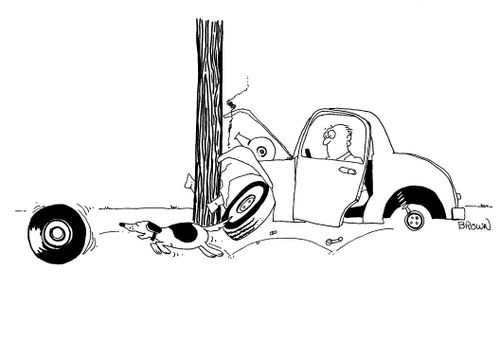 Dog chasing tire from auto accident.