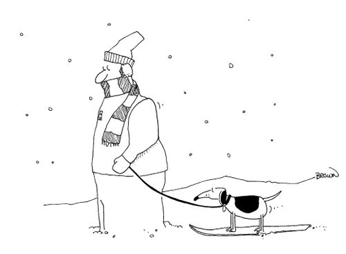 Man pulling dog on ski in snow