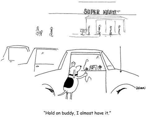 "Hold on buddy, I almost have it."