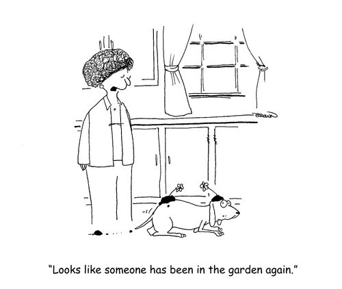"Looks like someone has been in the garden again."