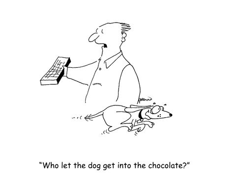 "Who let the dog get into the chocolate?"