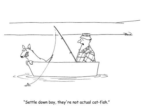 "Settle down boy, they're not actual cat-fish."