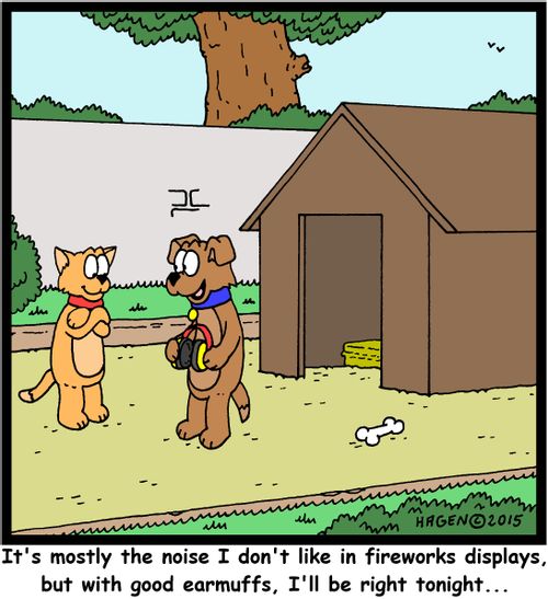 "It's mostly the noise I don't like in fireworks displays, but with good earmuffs, I'll be right tonight..."