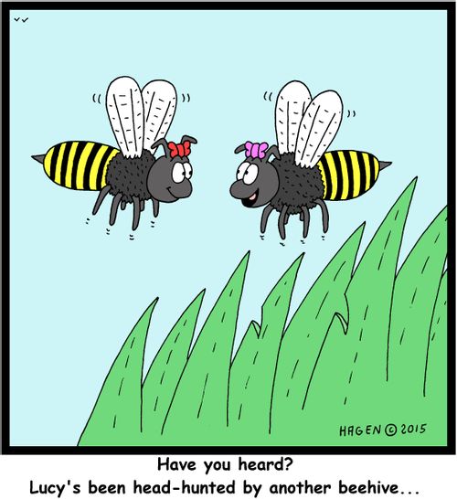"Have you heard? Lucy's been head-hunted by another beehive..."