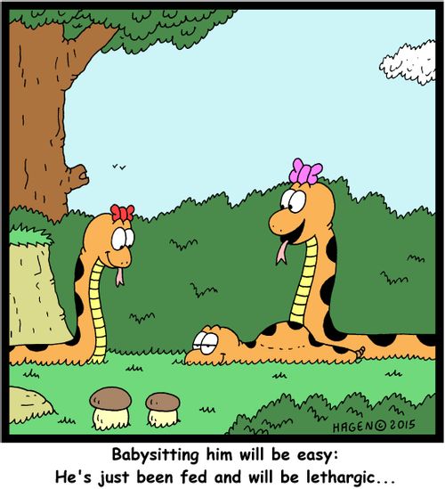"Babysitting him will be easy: He's just been fed and will be lethargic..."