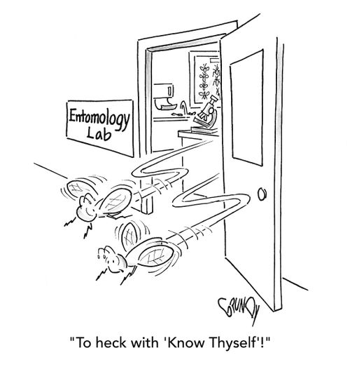 "To heck with 'Know Thyself'!"