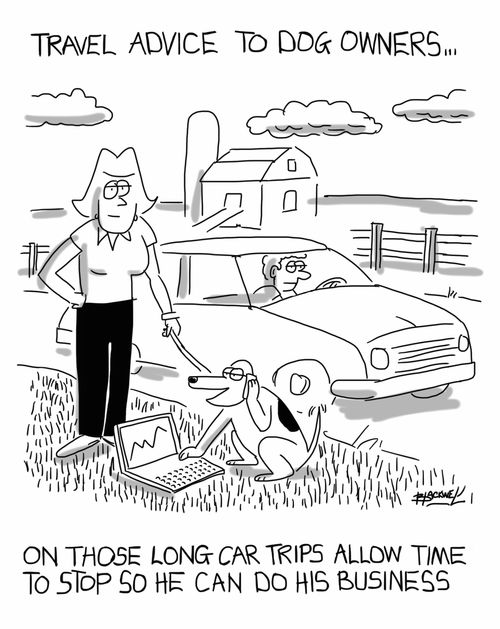 Travel Advice to Dog Owners. . . On those long car trips allow time to stop so he can do his business.