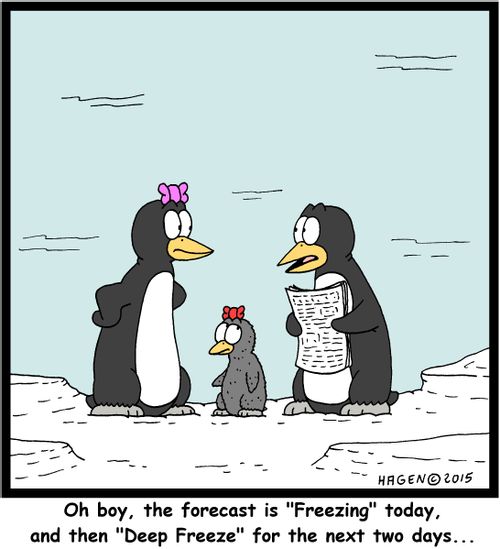 "Oh boy, the forecast is "Freezing" today, and then "Deep Freeze" for the next two days..."