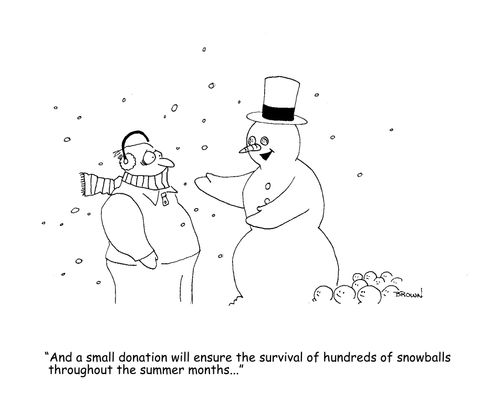 "And a small donation will ensure the survival of undreds of snowballs throughout the summer months..."