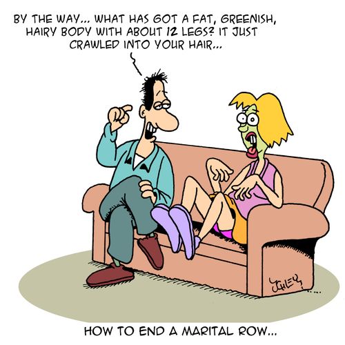 How to end a marital row...