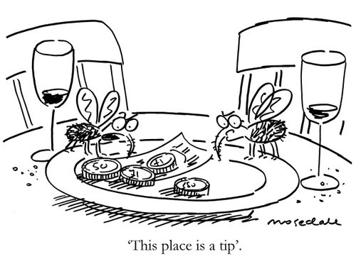 'This place is a tip.'
