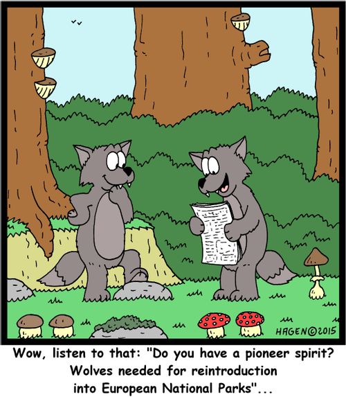 "Wow, listen to that: "Do you have a pioneer spirit? Wolves needed for reintroduction into European National Parks"..."