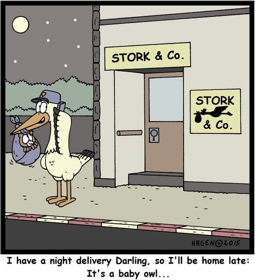 "I have a night delivery Darling, so I'll be home late: It's a baby owl..."