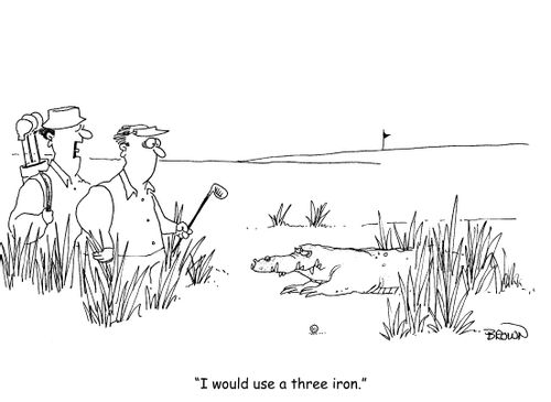 "I would use a three iron."