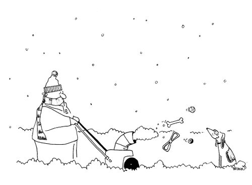 Man snow blowing dog toys in winter