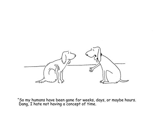 "So my humans have been gone for weeks, days, or maybe hours.  Dang, I hate not having a concept of time."