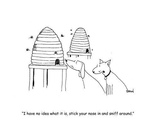 "I have no idea what it is, stick your nose in and sniff around."