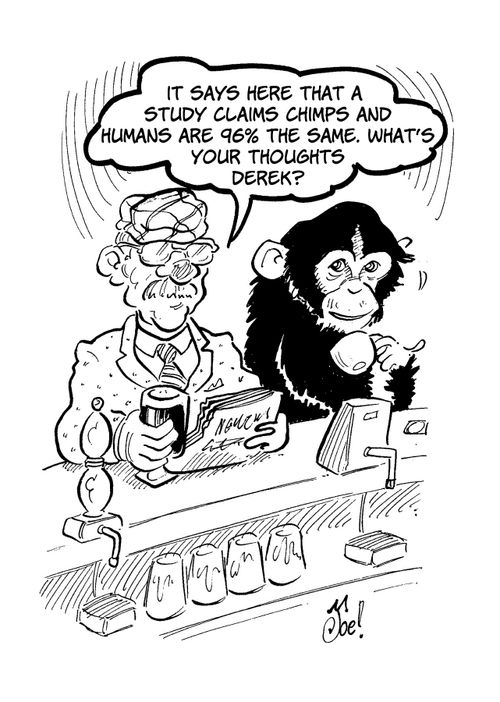 "It says here that study claims chimps and humans are 96% the same. What's your thoughts Derek?"
