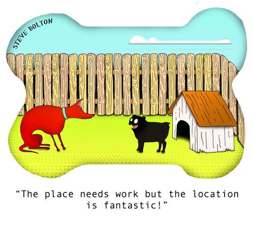"The place needs work but the location is fantastic!"