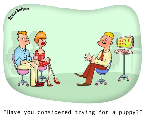 "Have you considered trying for a puppy?"