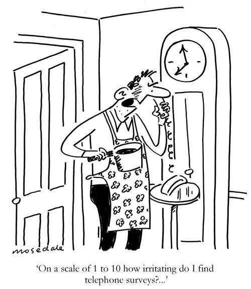 'On a scale of 1 to 10 how irritating do I find telephone surveys?...'