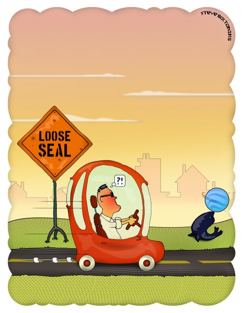 Loose seal