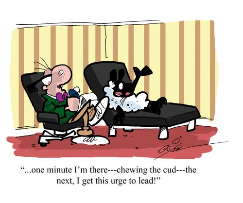 "....one minute I'm there - chewing the cud - the next, I get this urge to lead!"
