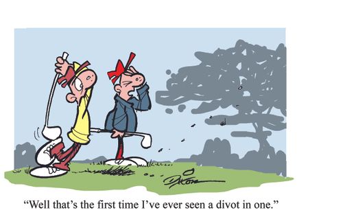 "Well that's the first time I've ever seen a divot in one."