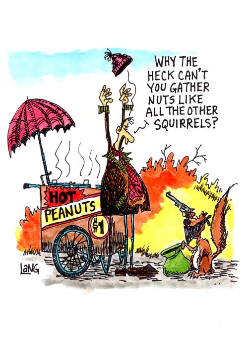 "Why the heck can't you gather nuts like all the other squirrels?"