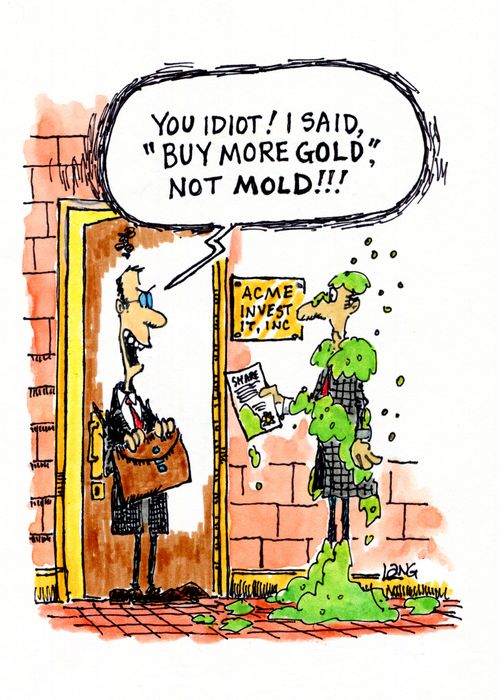 "You idiot! I said, 'Buy more gold', not mold!!"
