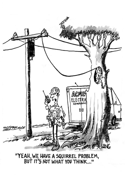 "Yeah, we have a squirrel problem, but it's not what you think..."