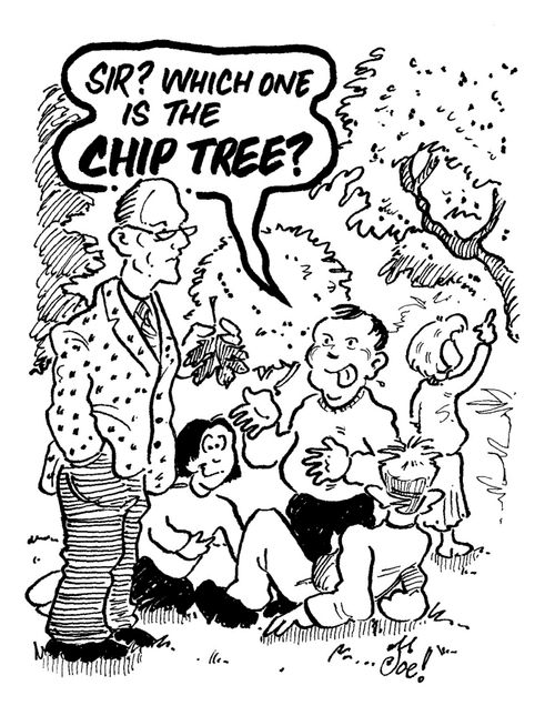 "Sir? Which one is the chip tree?"