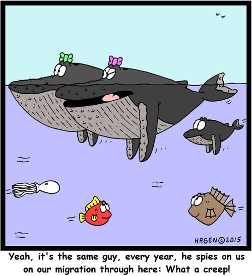 "Yeah, it's the same guy, every year, he spies on us on our migration through here: What a creep!"