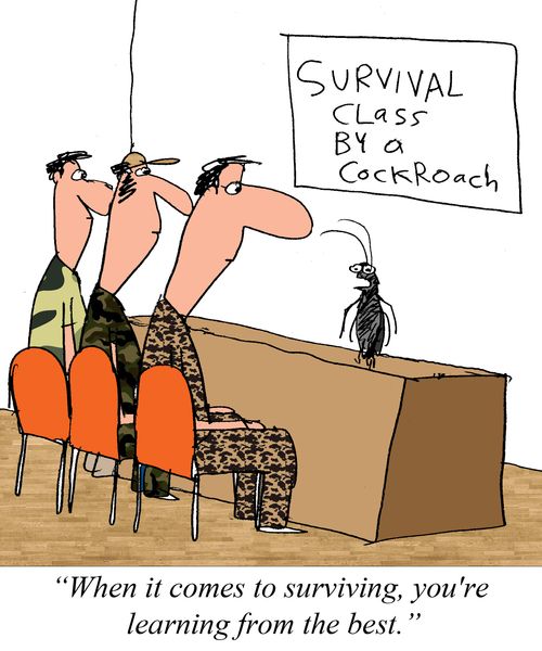 "When it comes to surviving, you're learning from the best."