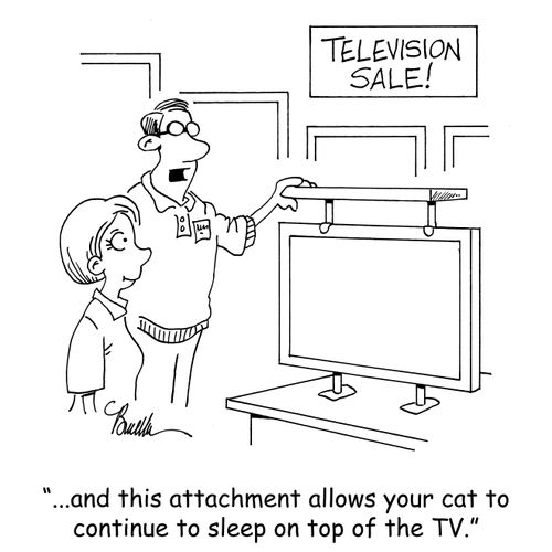 "...and this attachment allows your cat to continue to sleep on top of the TV."