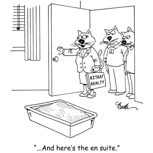 "...And here's the en suite."