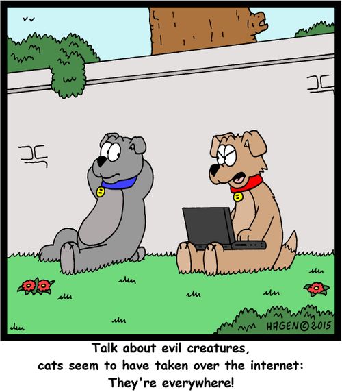 "Talk about evil creatures, cats seem to have taken over the internet: They're everywhere!"