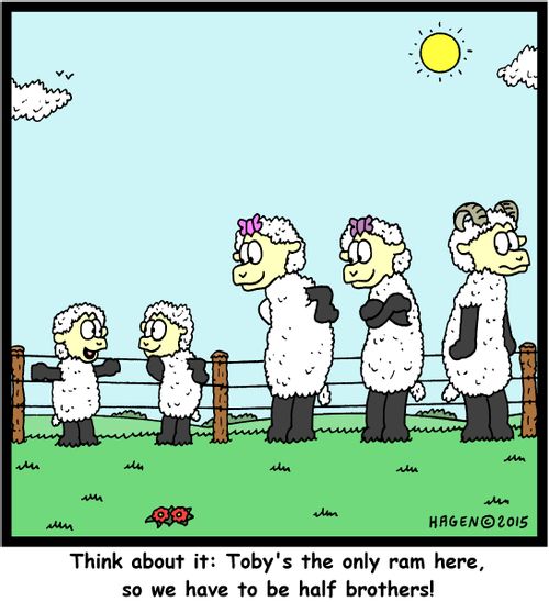 "Think about it: Toby's the only ram here, so we have to be half brothers!"